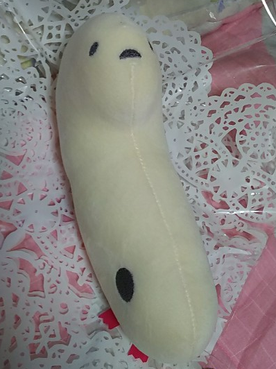 アナゴ.png